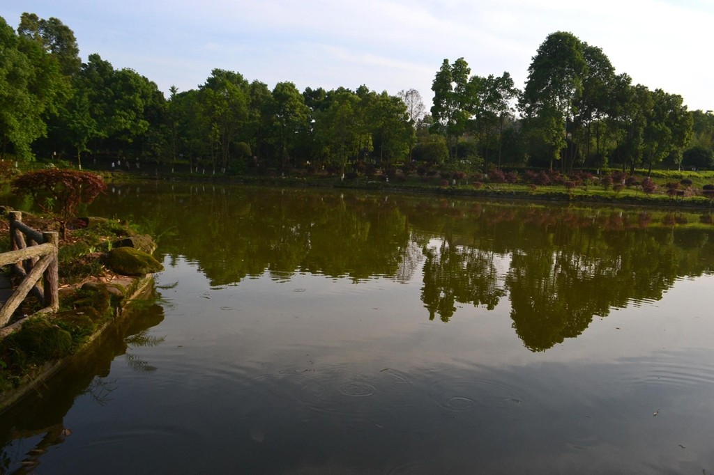 DSC_0654.JPG