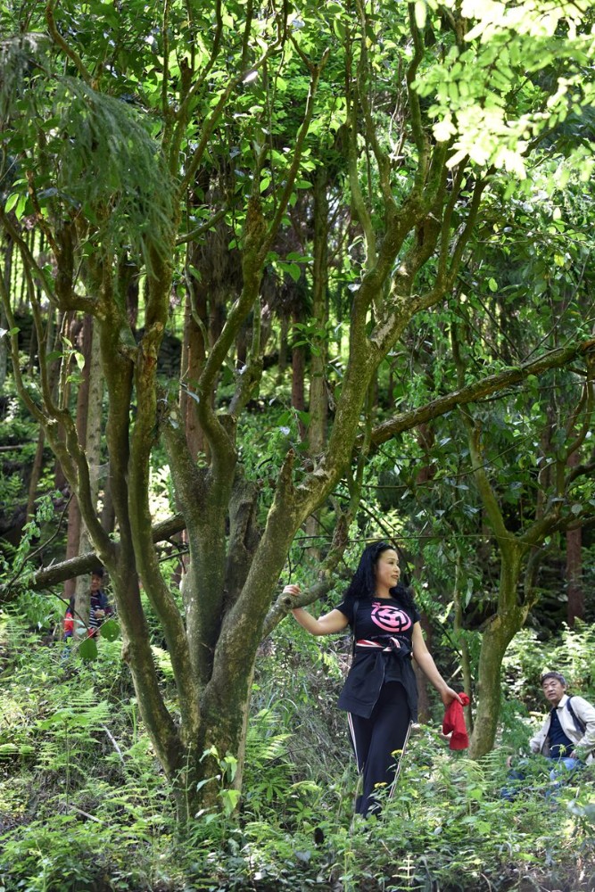 DSC_1238__.jpg
