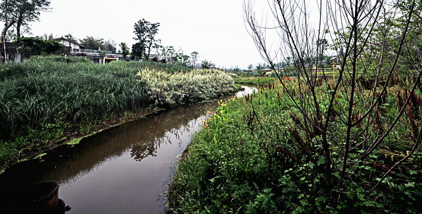 GLL_6243.JPG