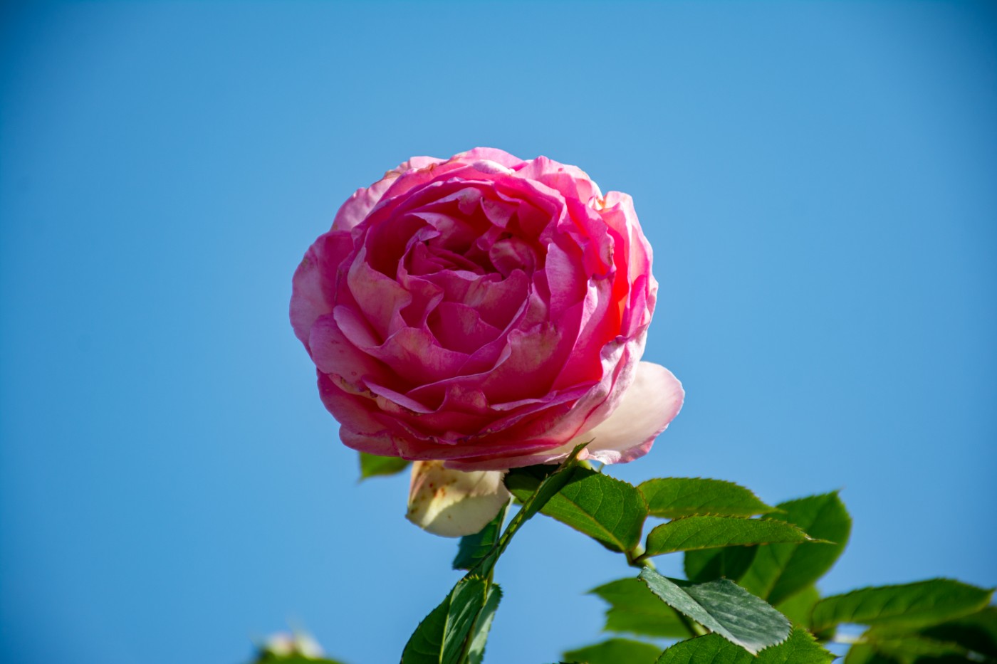 DSC_8659.jpg