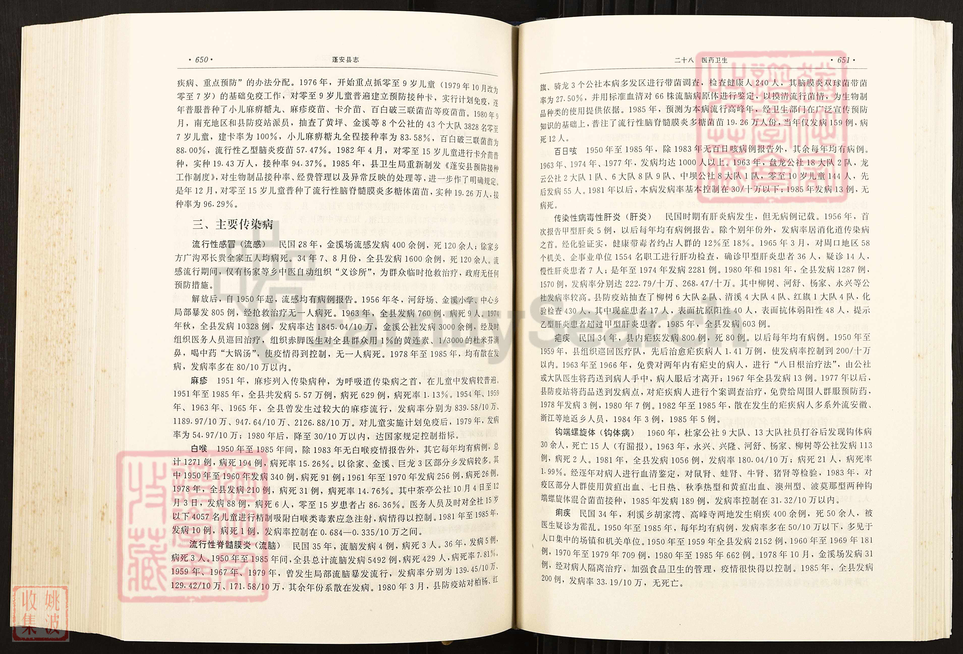 ־94 (339)_1.jpg