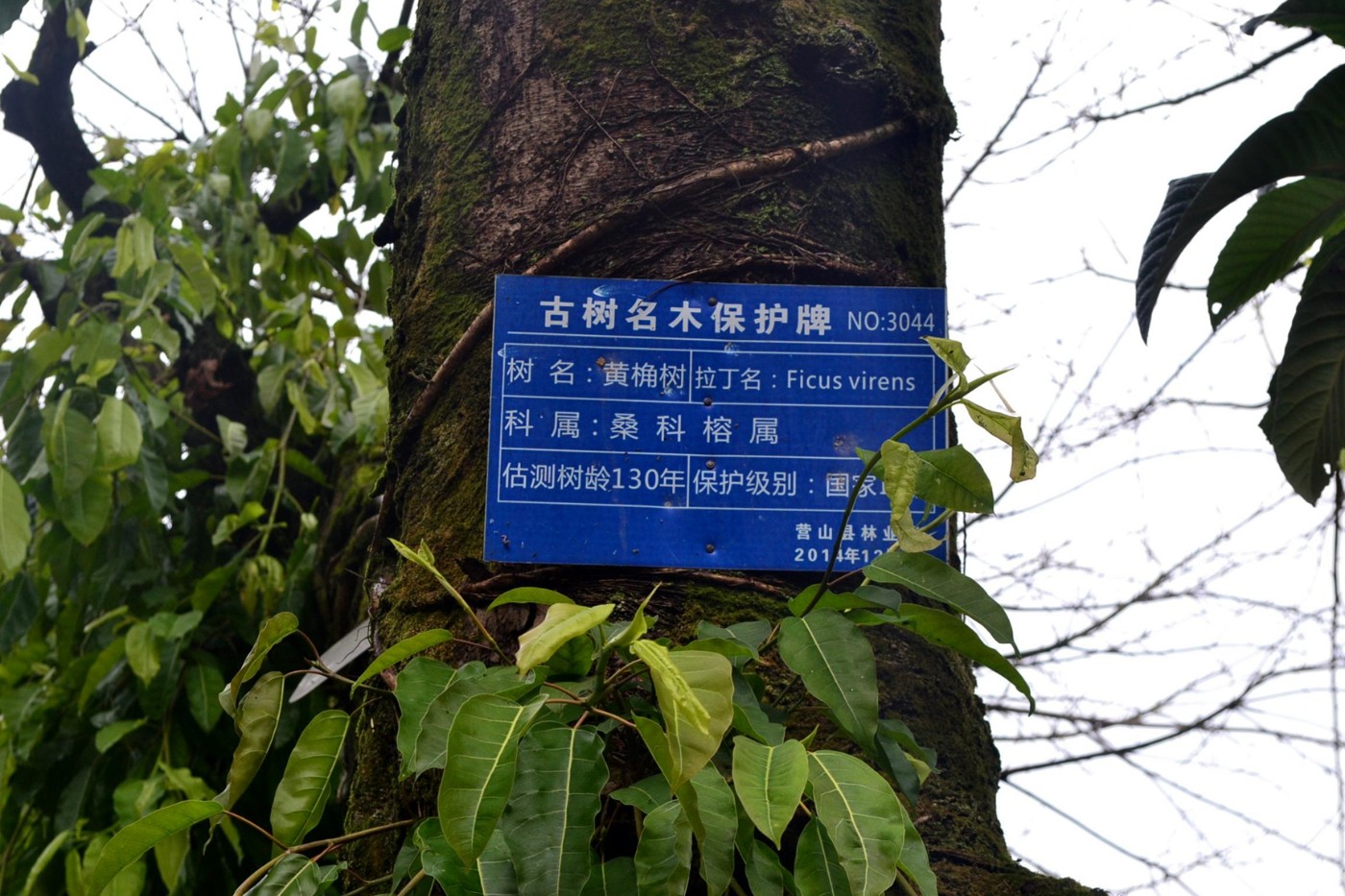 DSC_0830.JPG