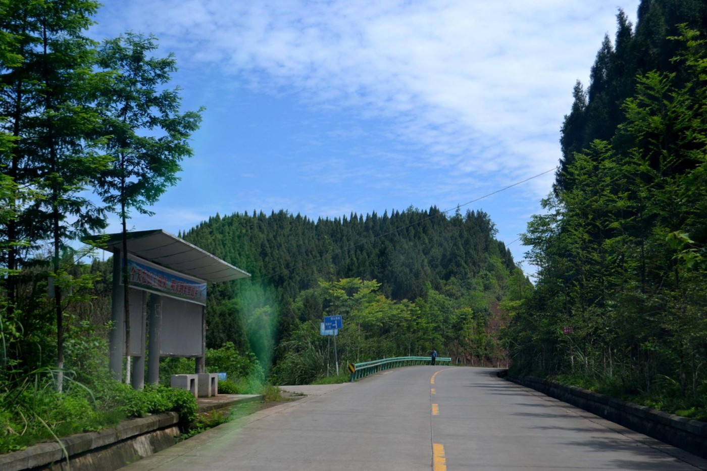 DSC_0997.JPG