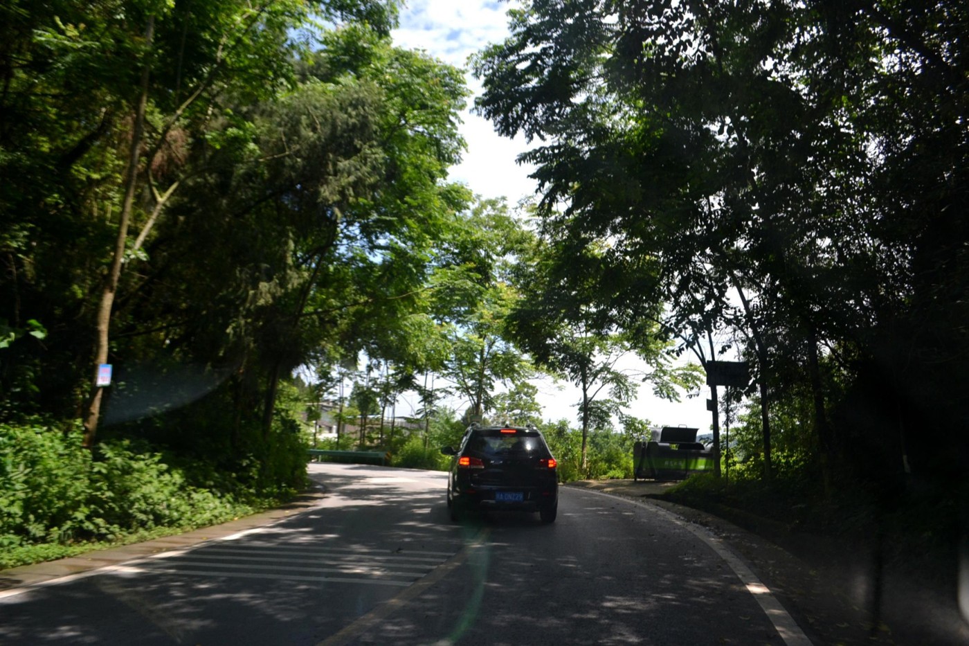 DSC_1002.JPG