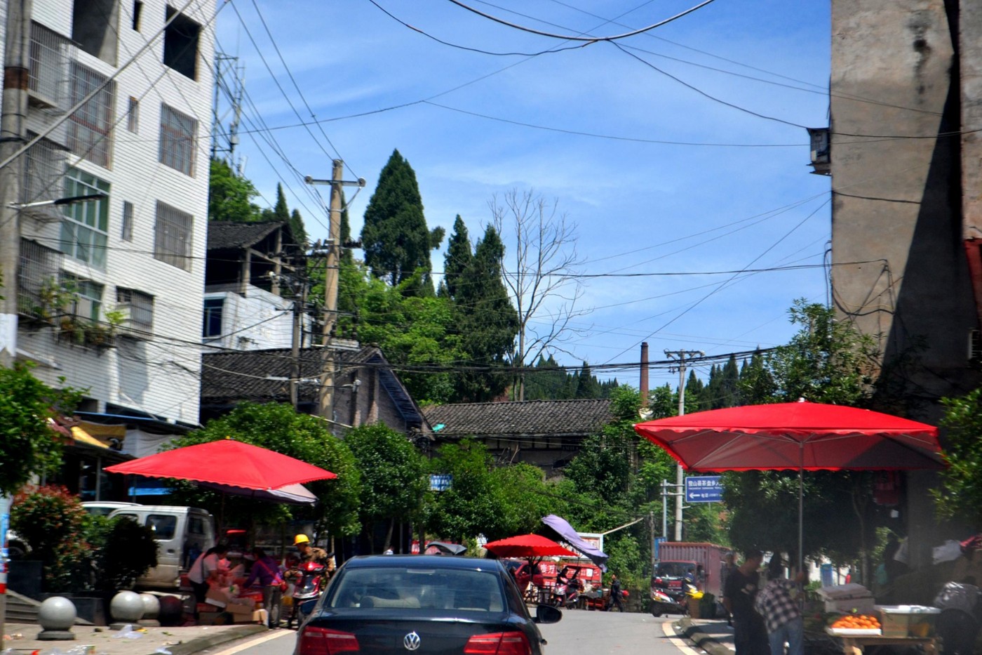 DSC_1006.JPG
