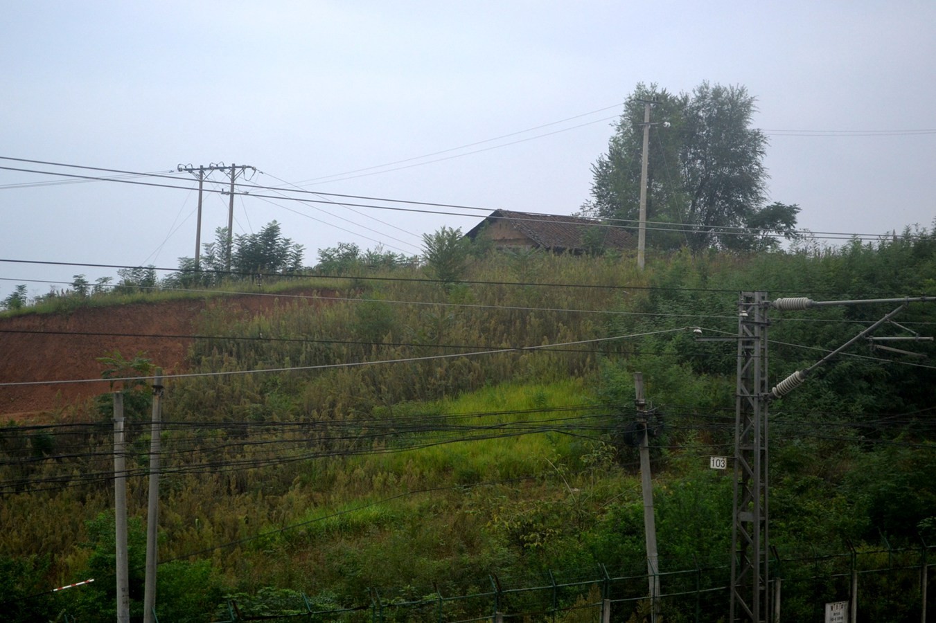 DSC_4709.JPG