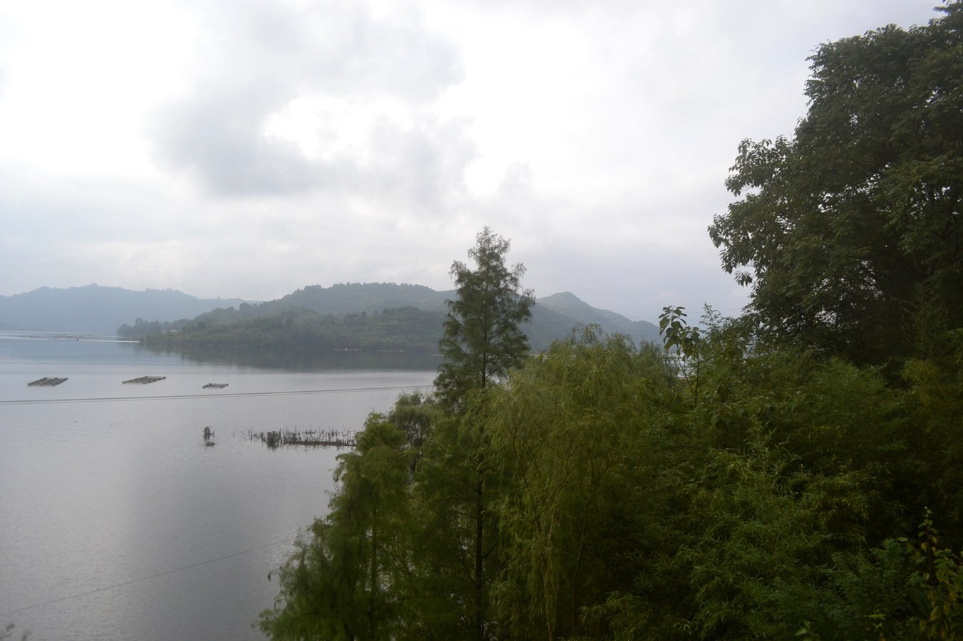 DSC_4719.JPG