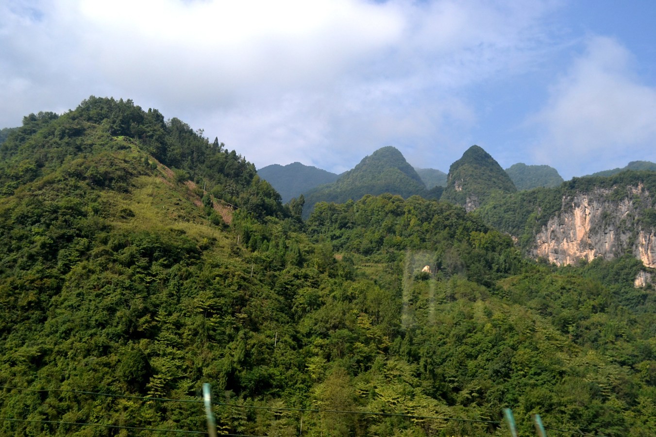 DSC_4791.JPG