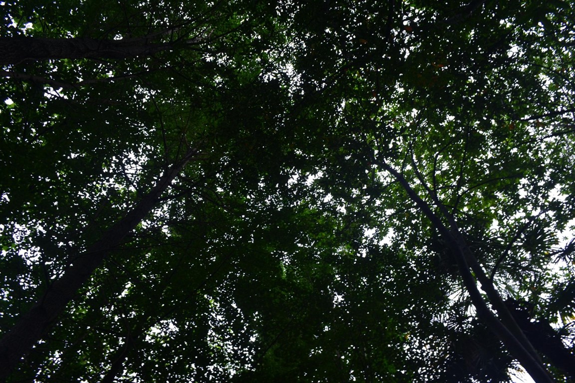DSC_1044.JPG