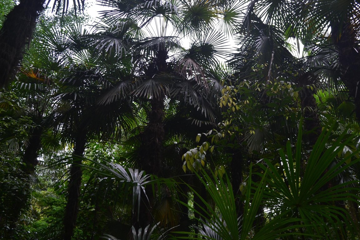 DSC_1045.JPG