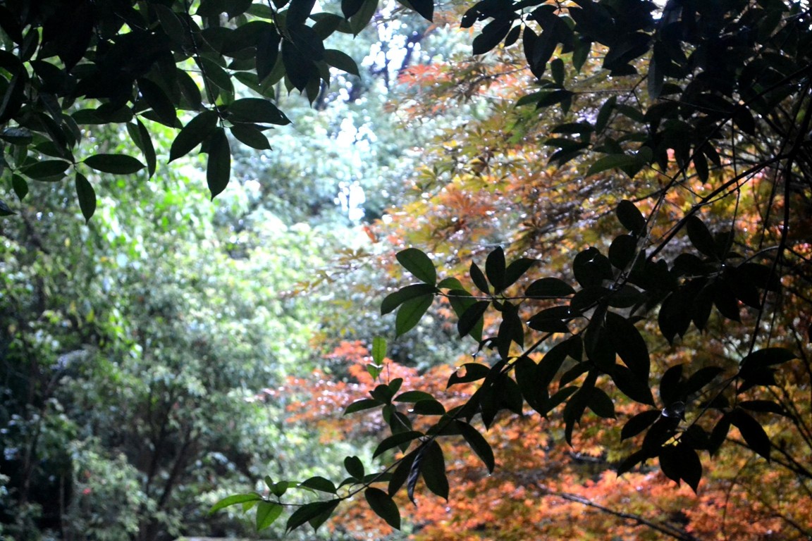 DSC_1076.JPG