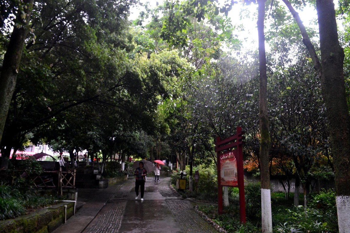 DSC_1079.JPG