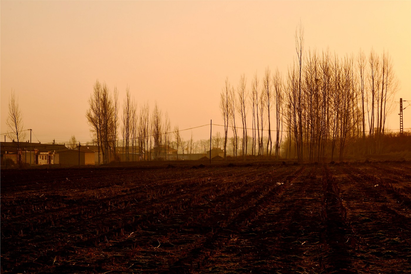 DSC_5175.JPG