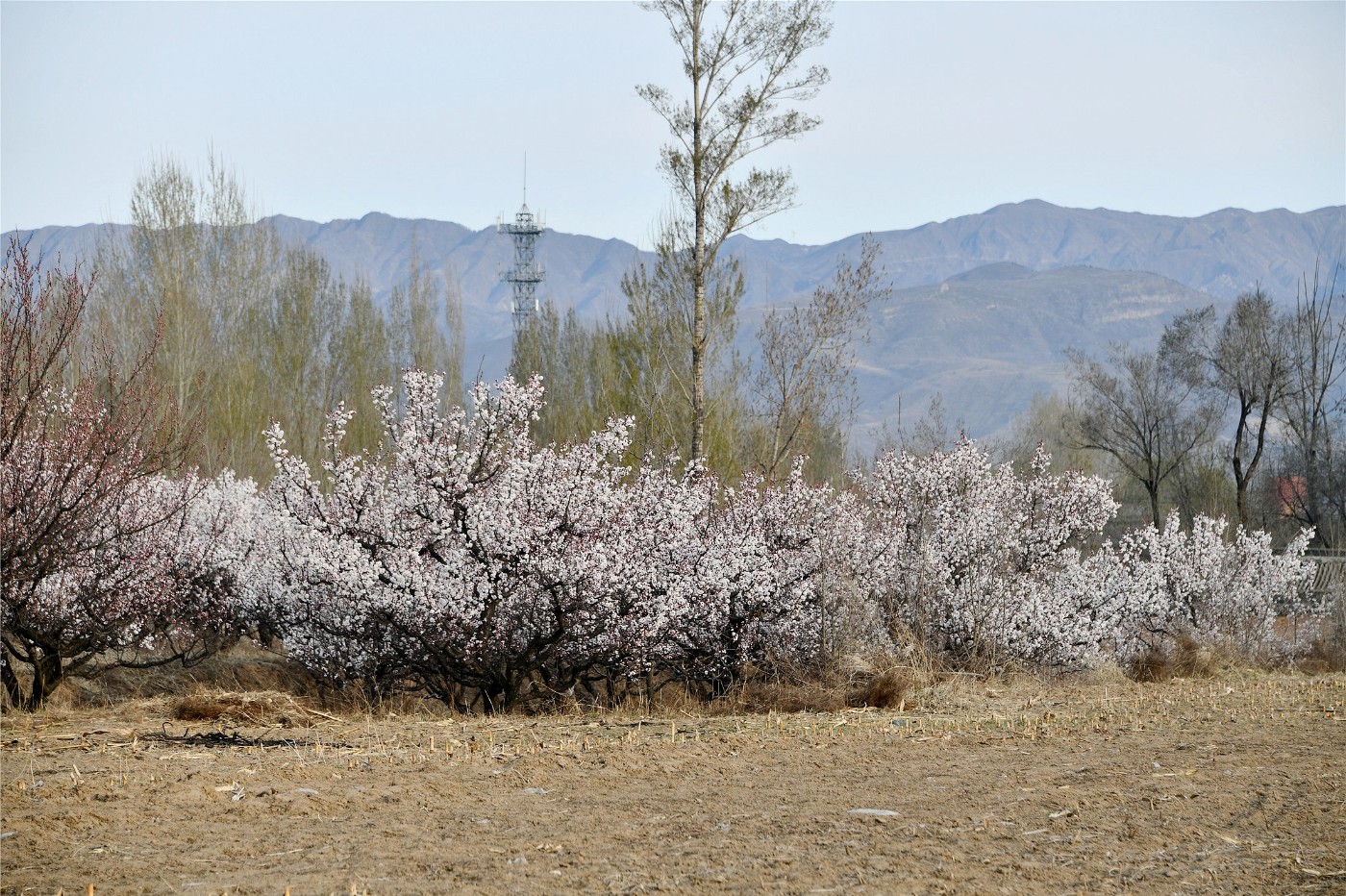 DSC_4806.JPG
