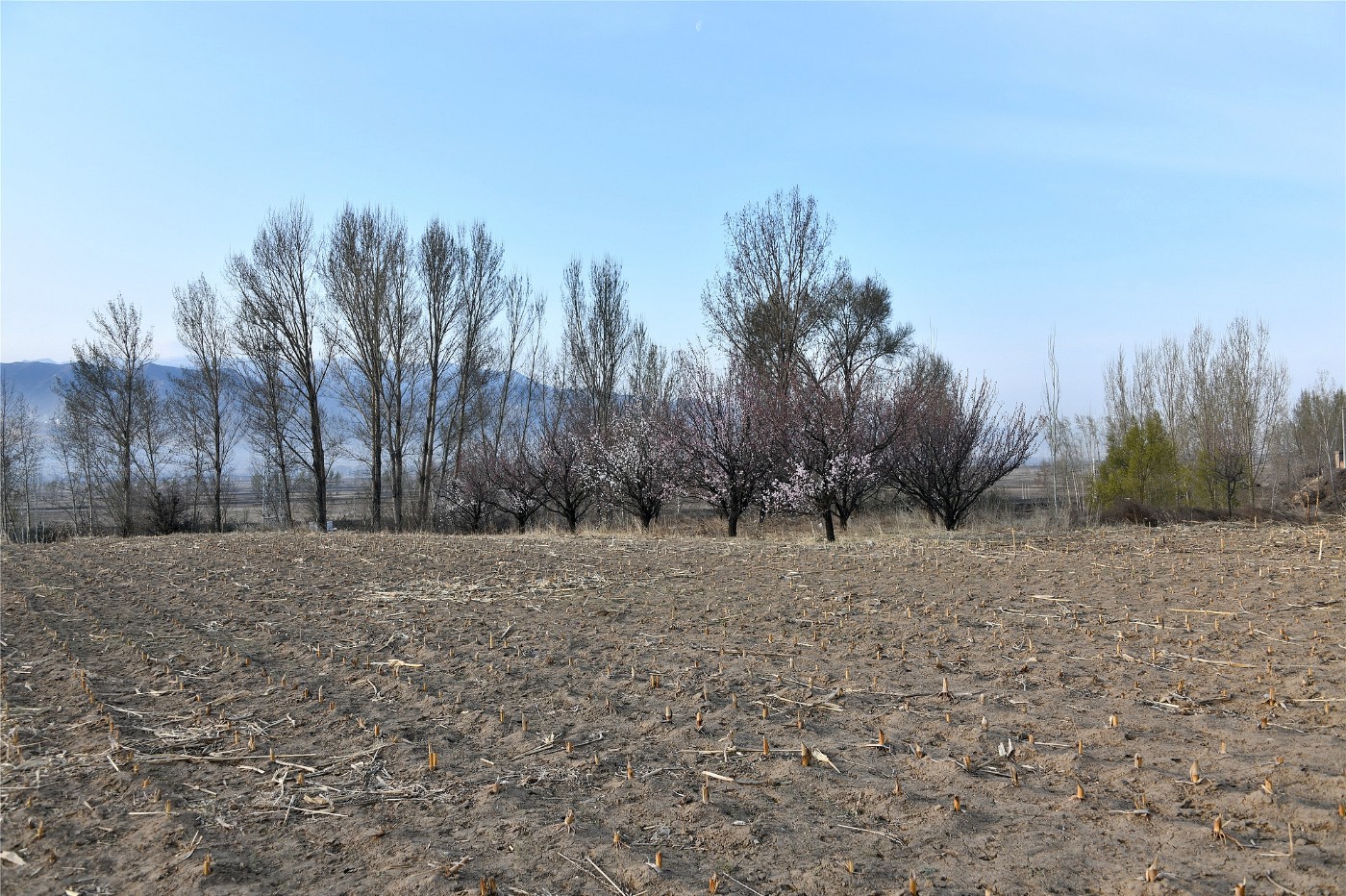 DSC_4807.JPG