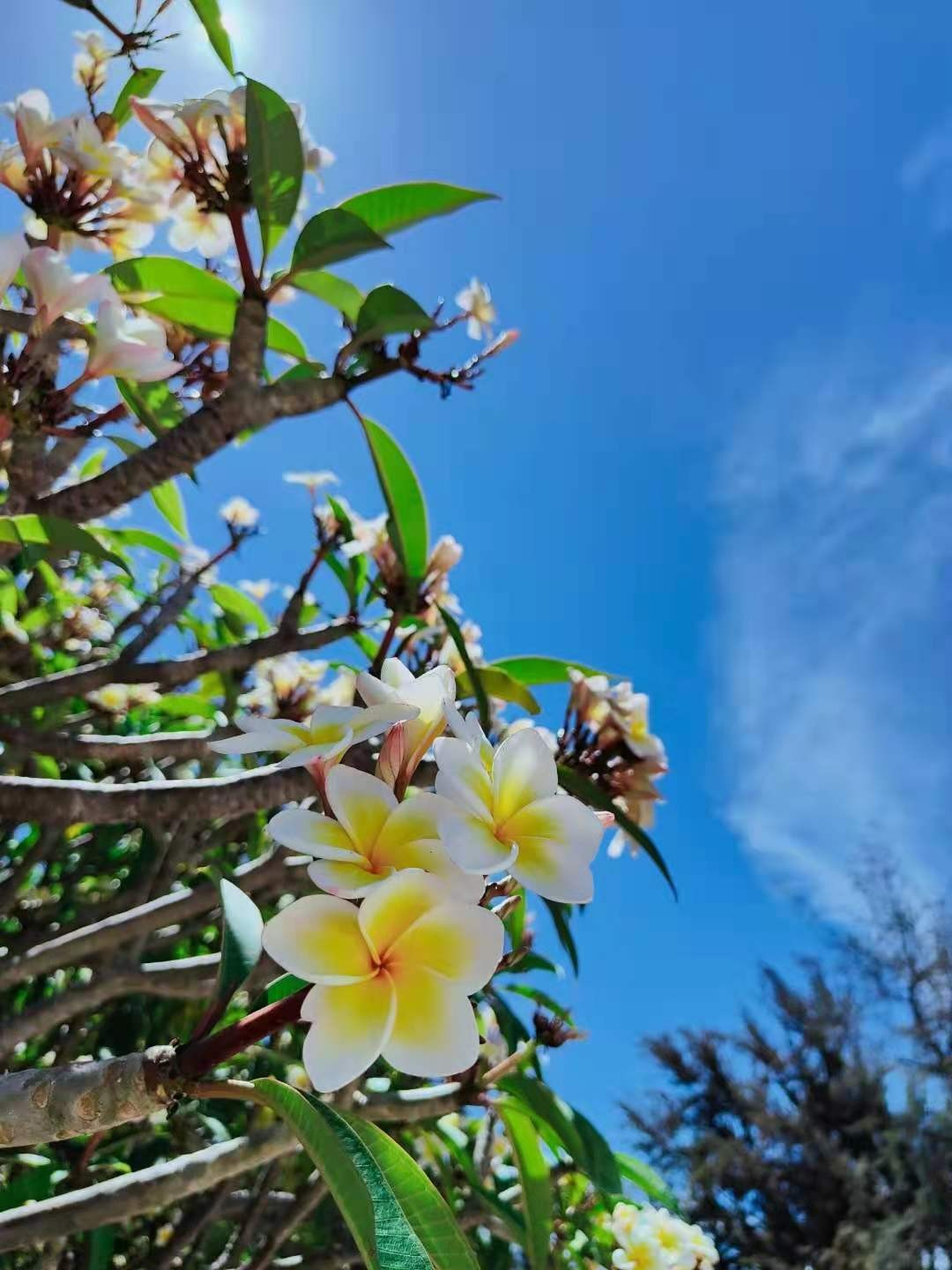 WeChat DƬ_20210527090905.jpg