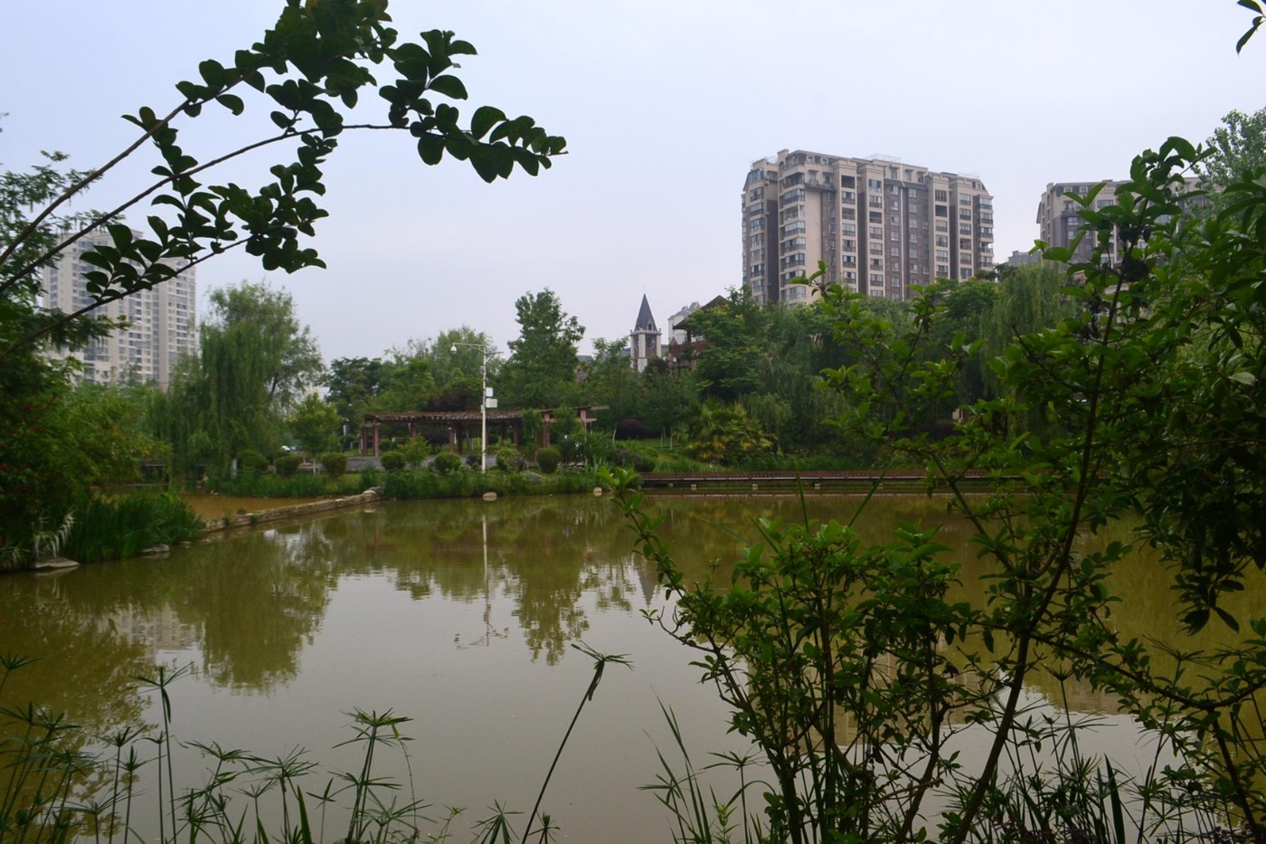 DSC_1390.JPG