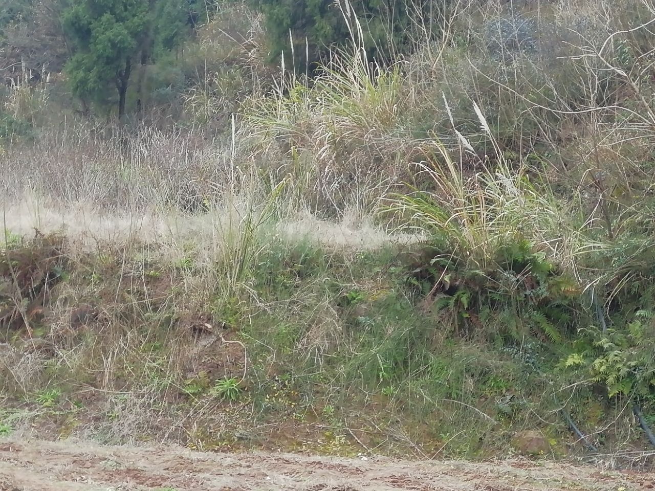 front2_0_FopIjD1SgkkUC0TdD6AecZRZm9Ml.1622523084.jpg