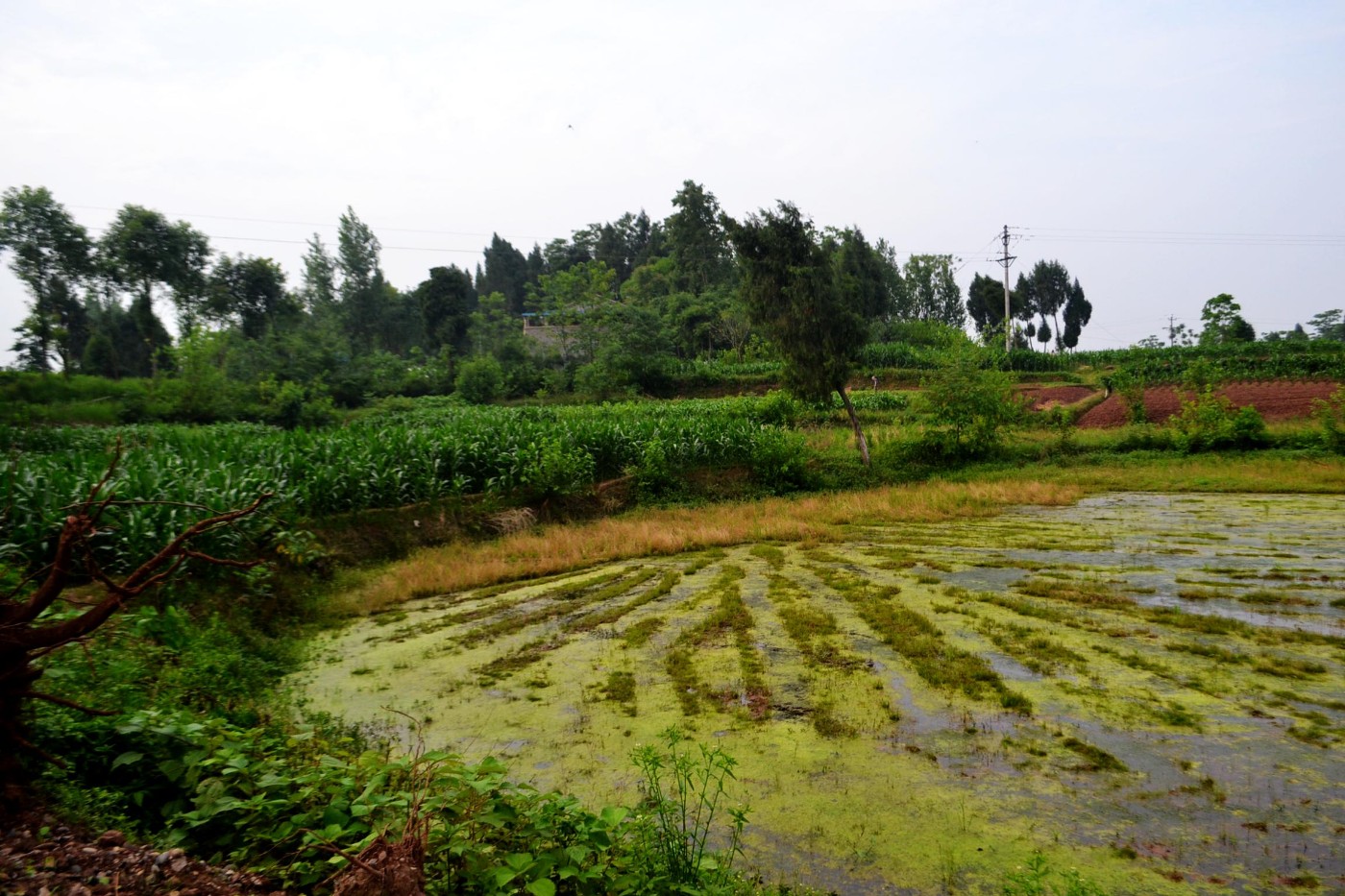 DSC_1840.JPG
