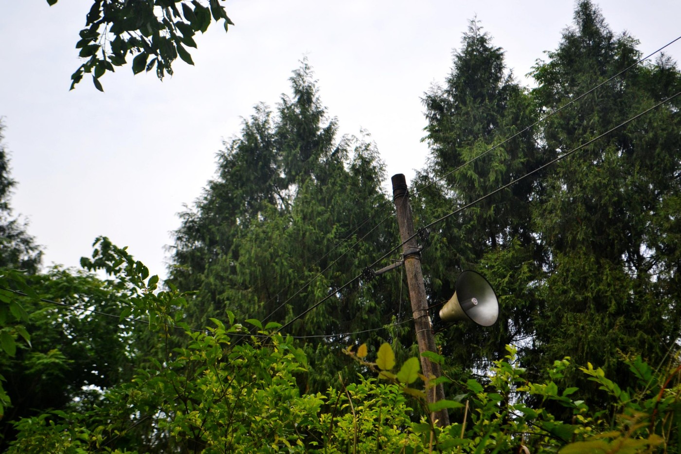 DSC_1845.JPG