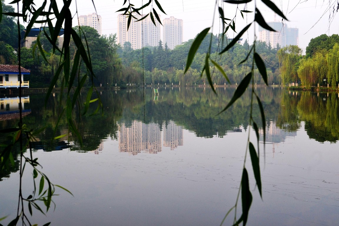 DSC_1891.JPG