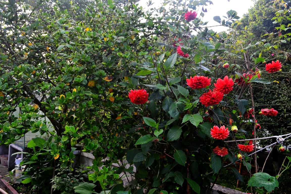 DSC_1899.JPG