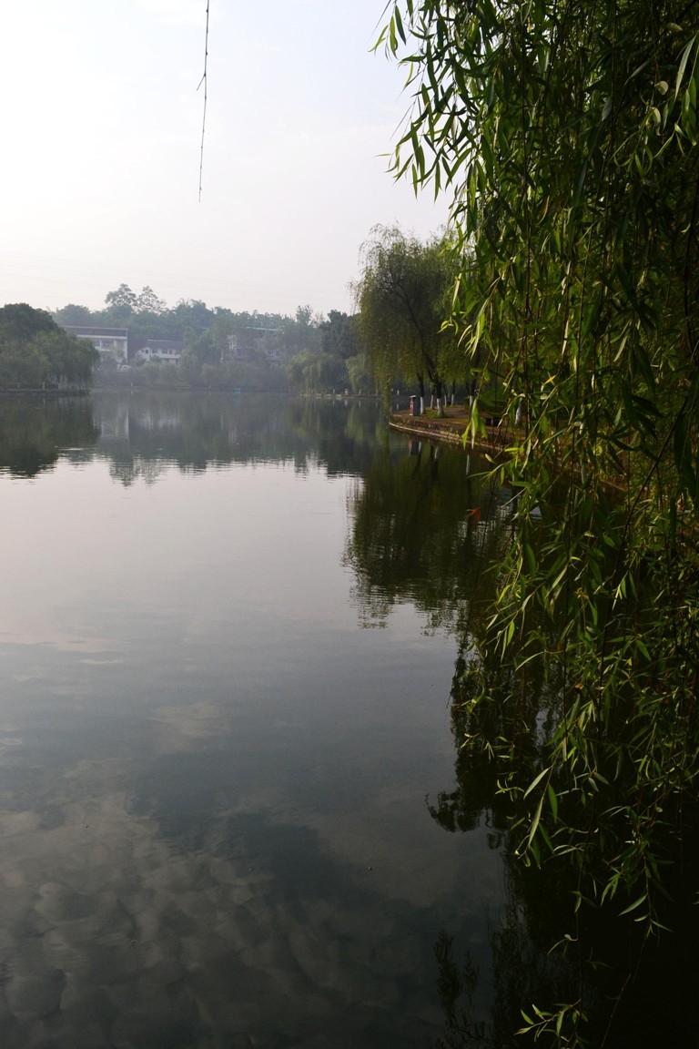 DSC_1942.JPG