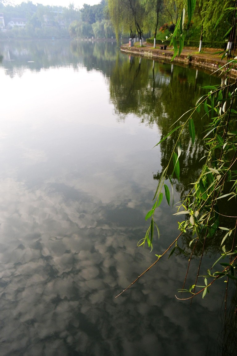 DSC_1943.JPG