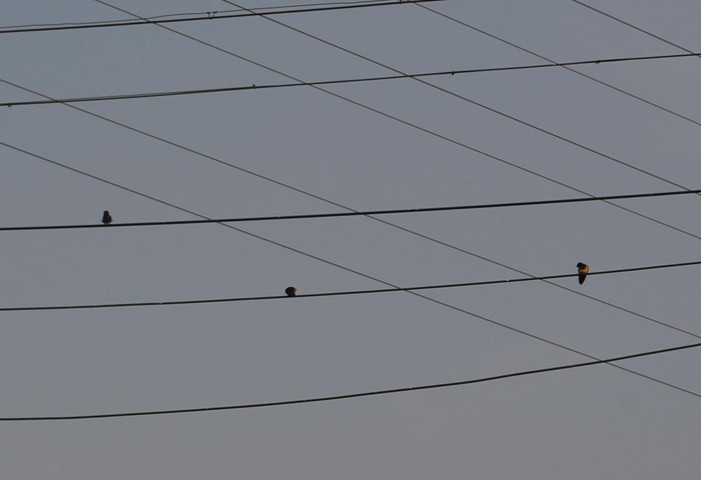 DSC_1958.JPG