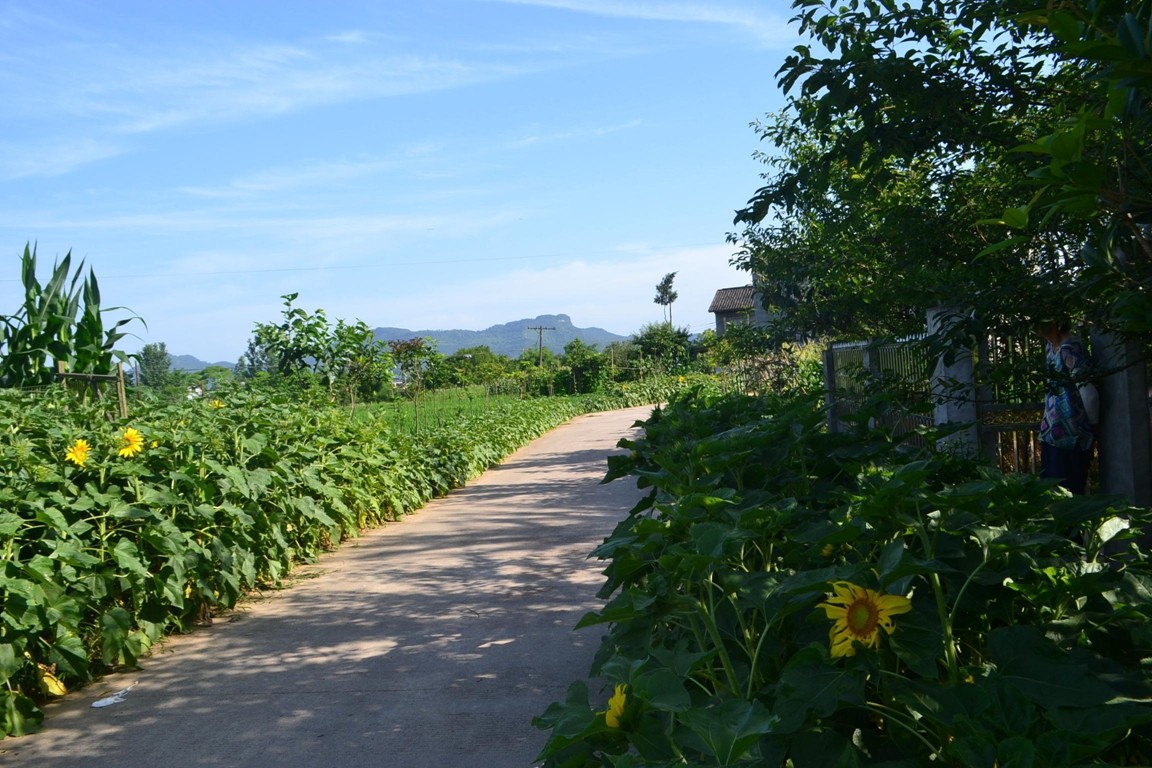 DSC_2437.JPG