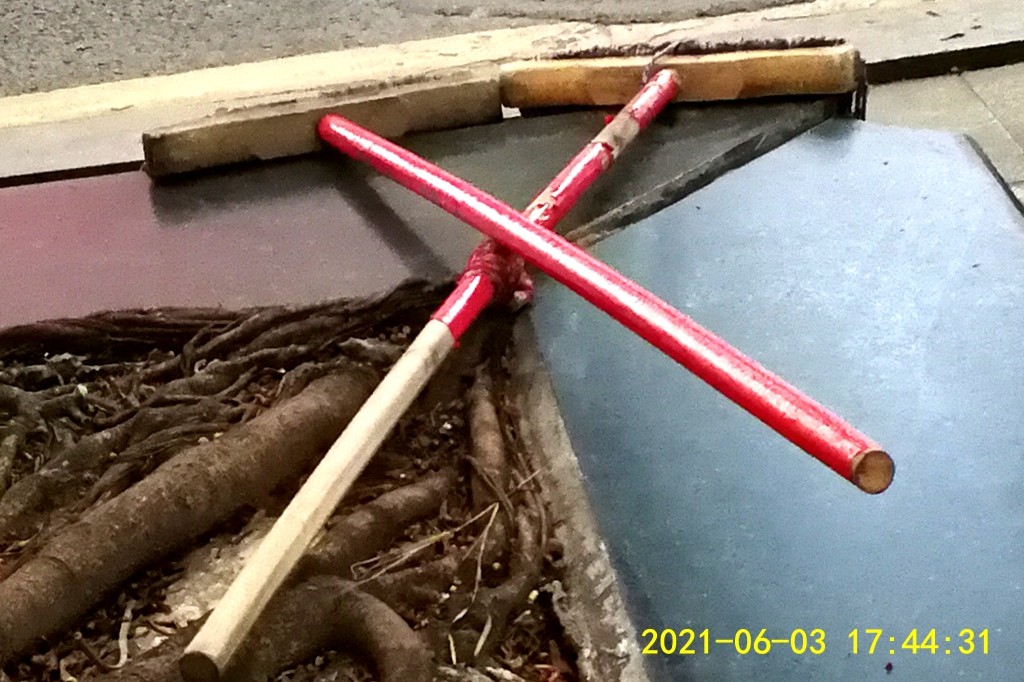 IMG_20210603_174430.jpg