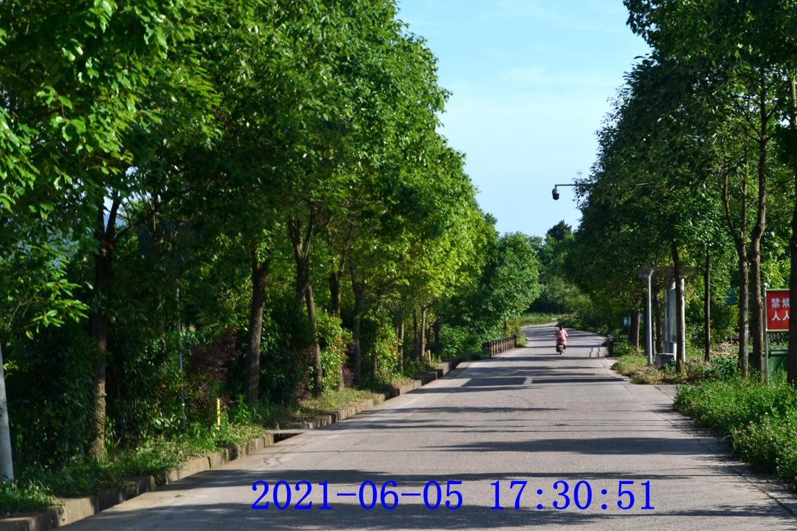 DSC_2495.JPG