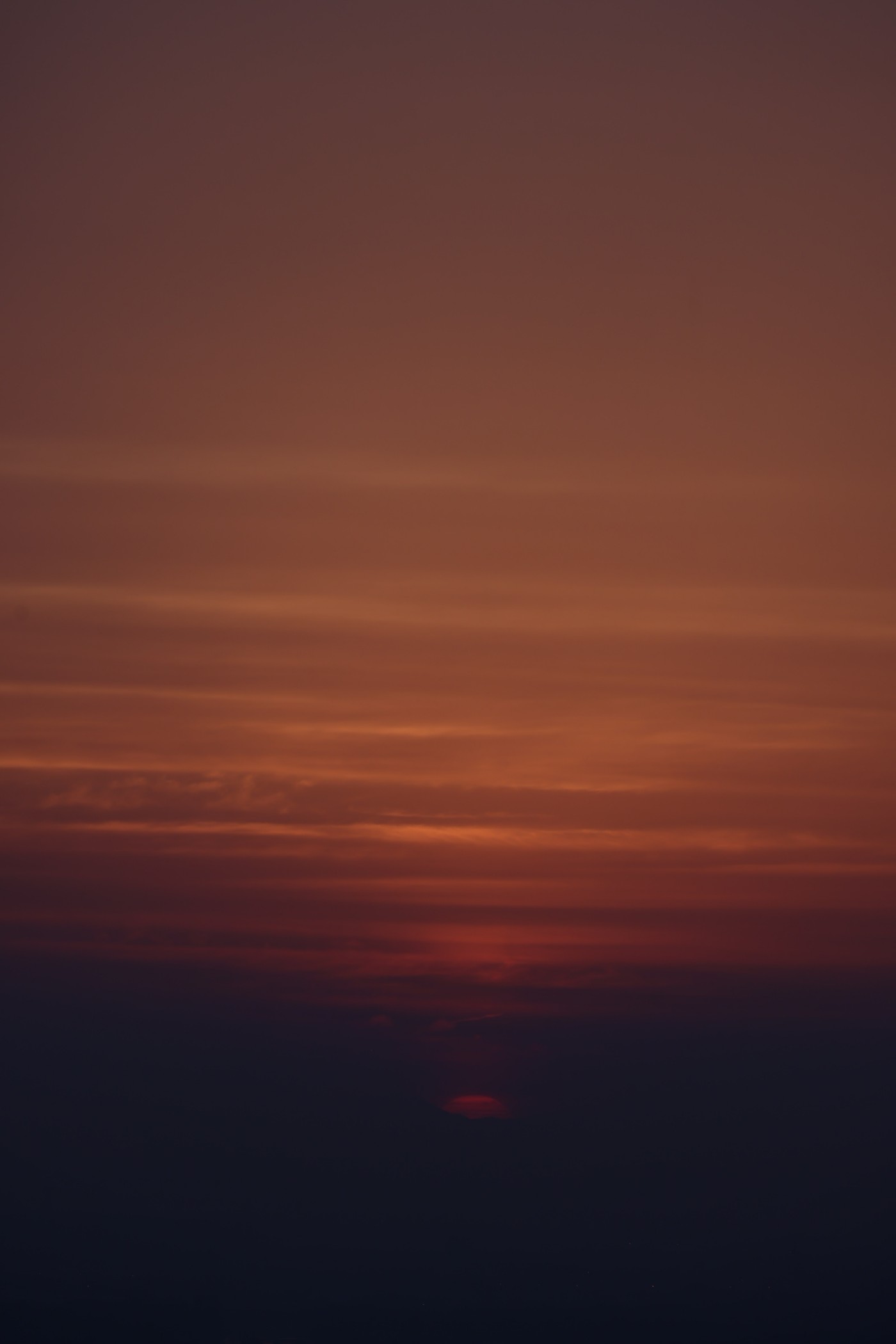 0Y4A0530.JPG