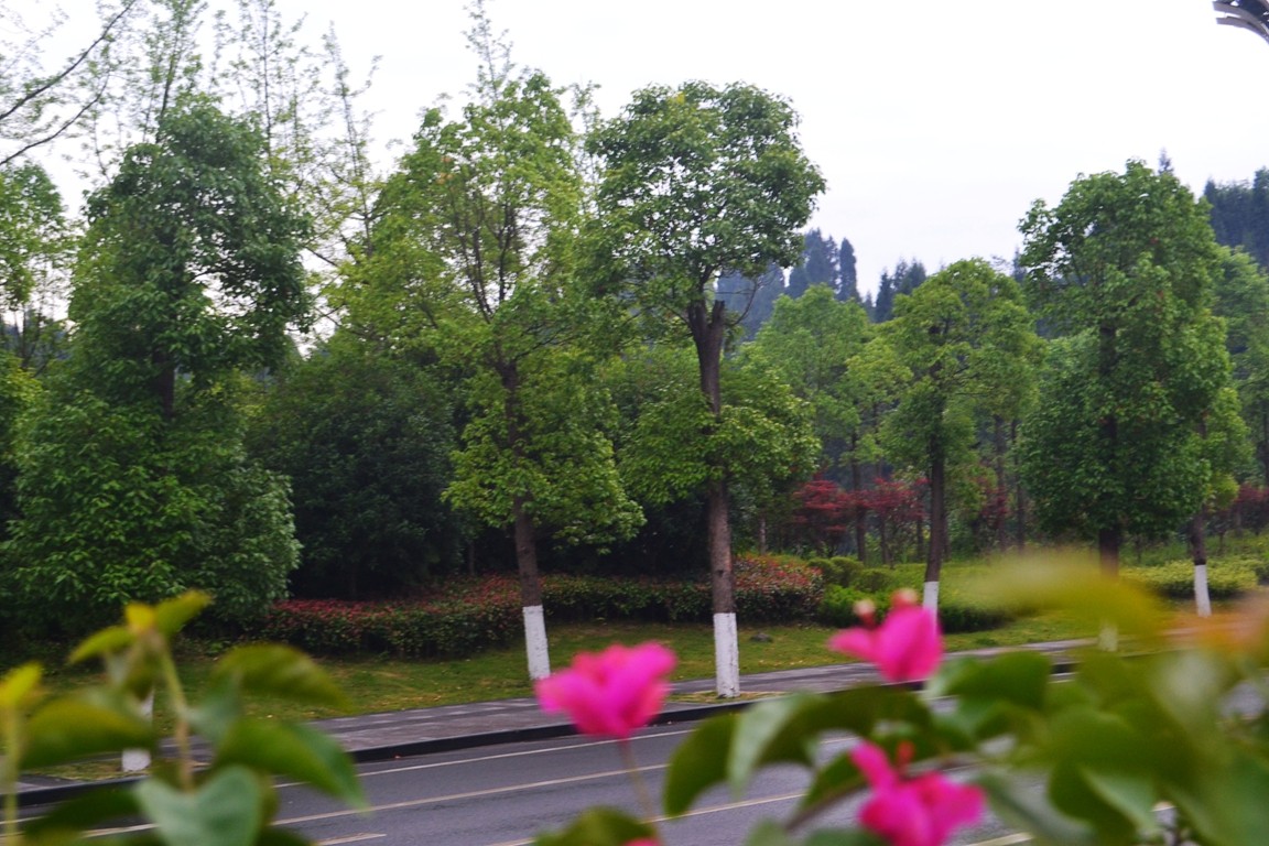 DSC_2621.JPG