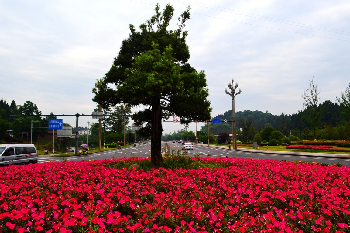 DSC_2765.JPG