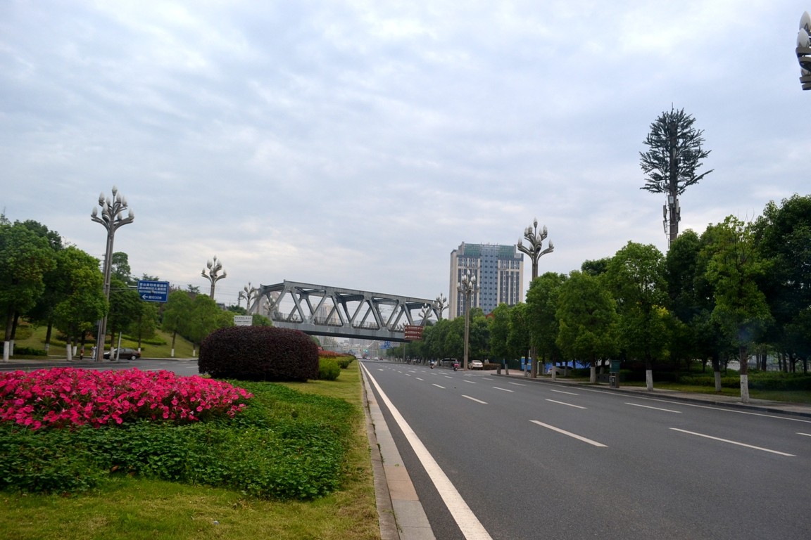 DSC_2789.JPG