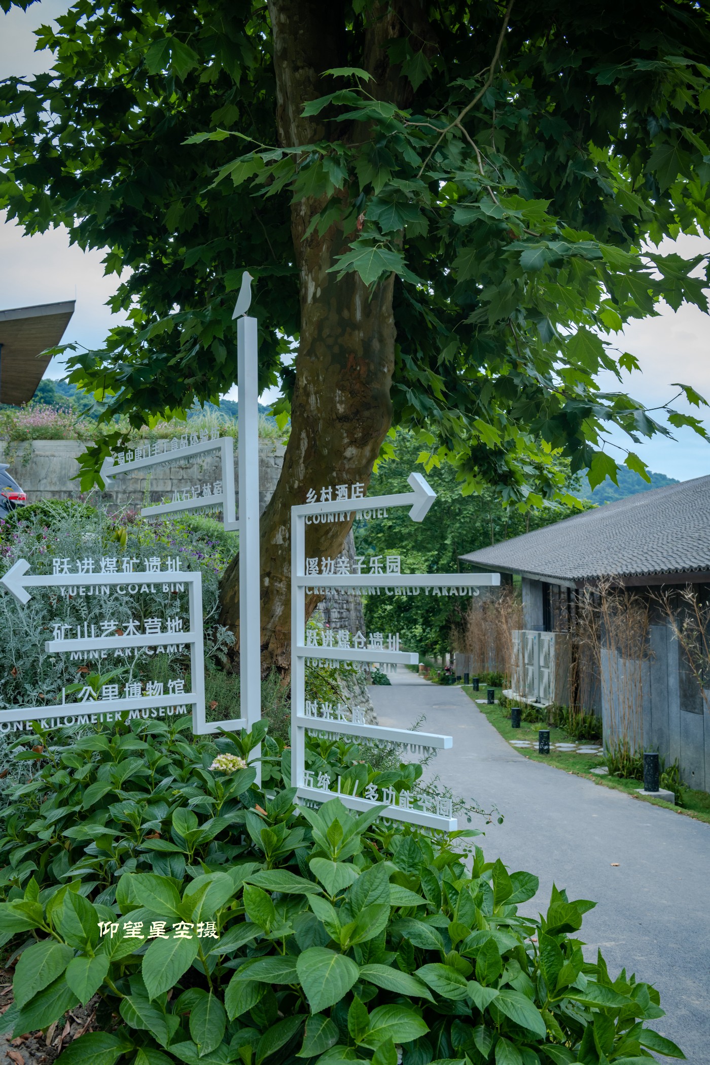 _DSC9888.jpg