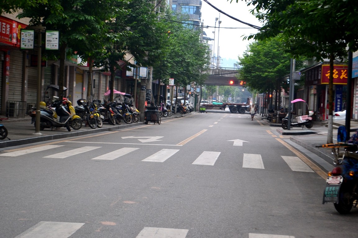 DSC_2799.JPG