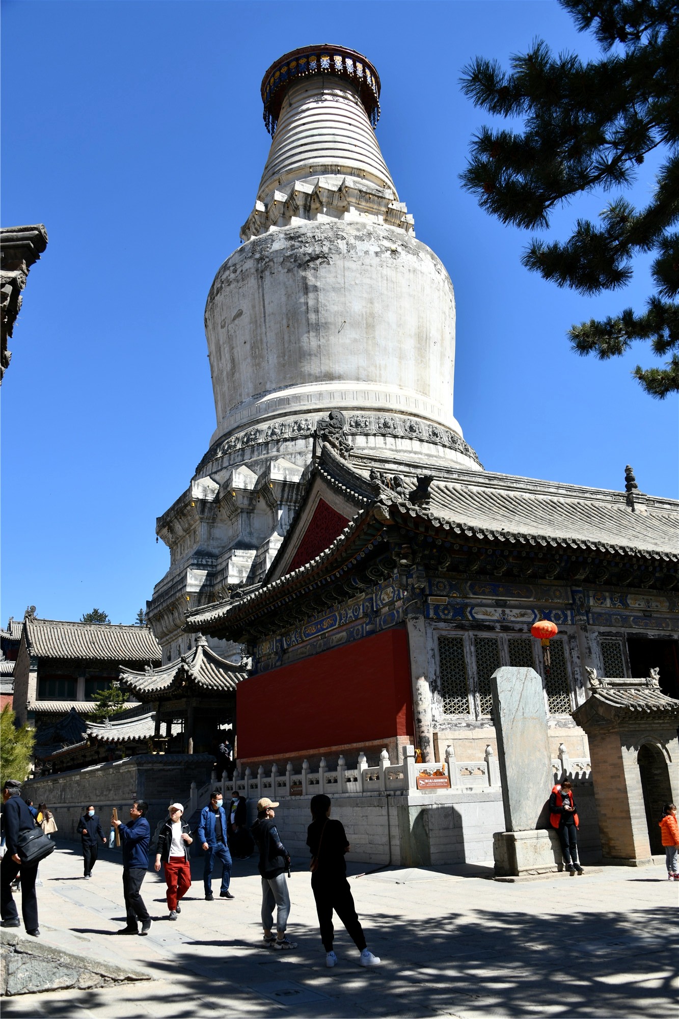 DSC_5513.JPG