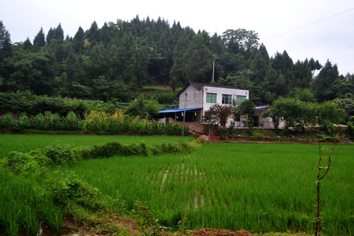 农村风景图片大全真实图片