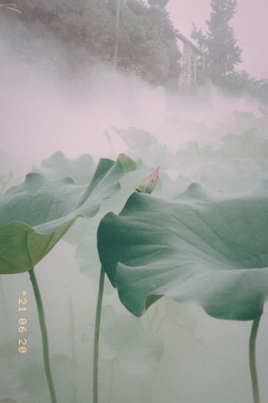 front2_0_FjKFbjkTLa1nYnocFIQa8Mv4vYwm.1624168434.jpg