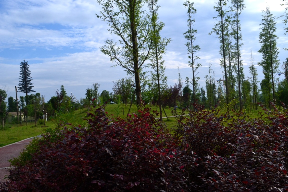DSC_3875.JPG