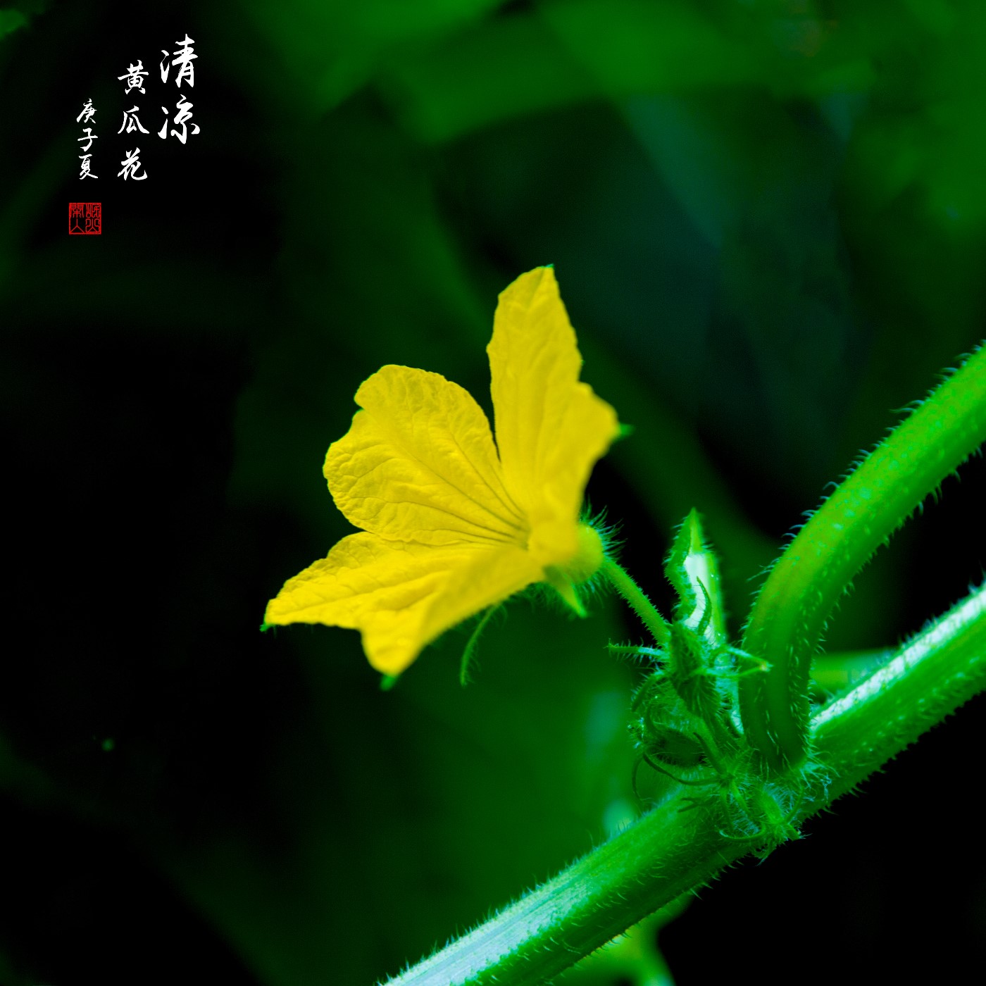 085A4020_.jpg