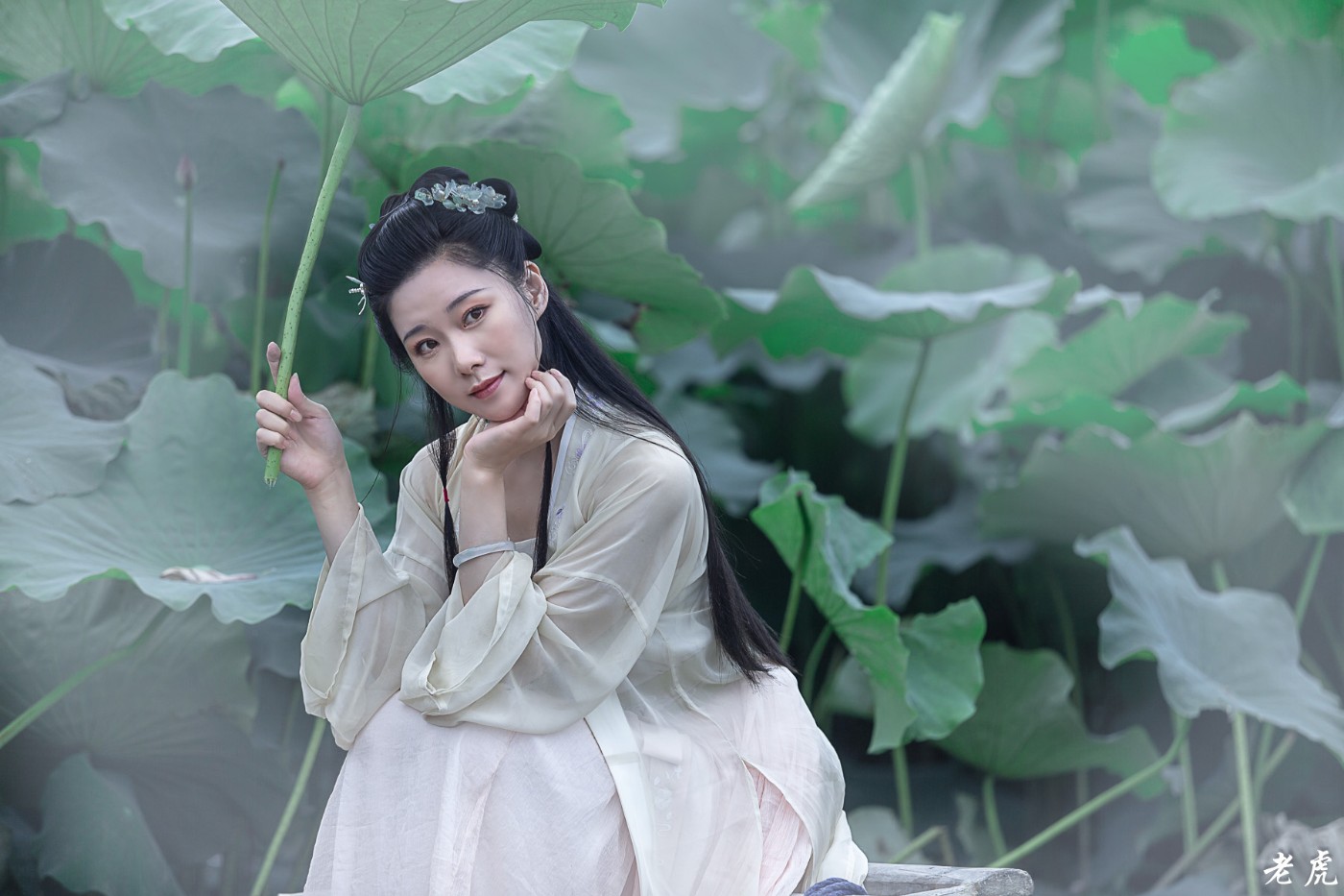 AR6P0706-40-1_.jpg