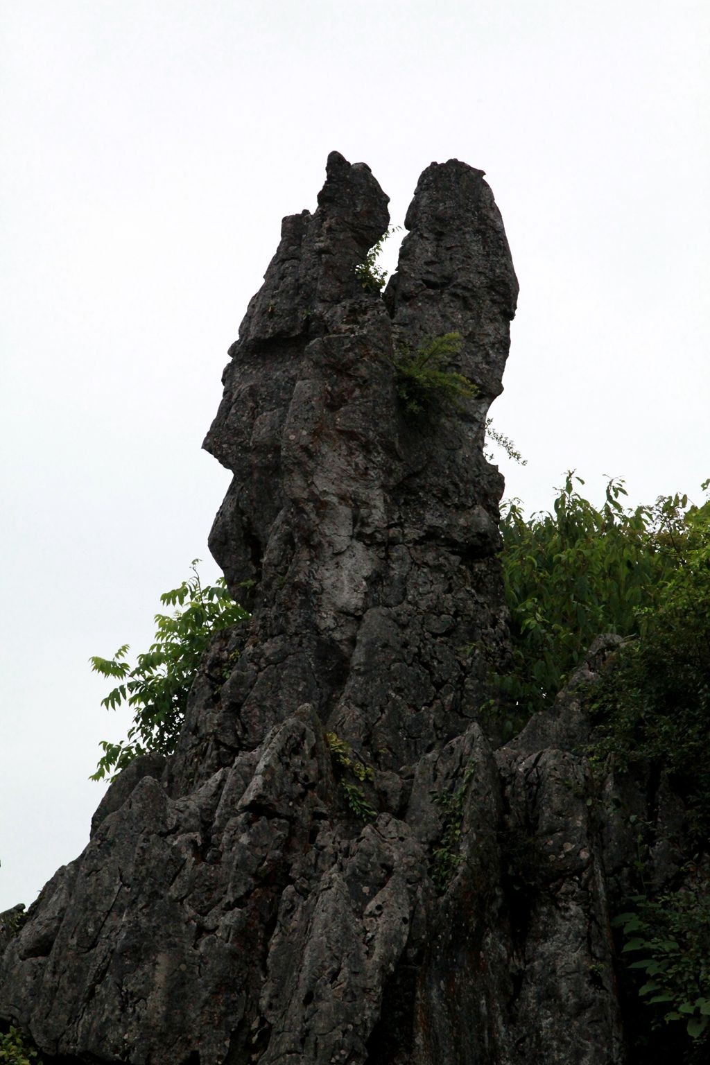 IMG_8349_.jpg