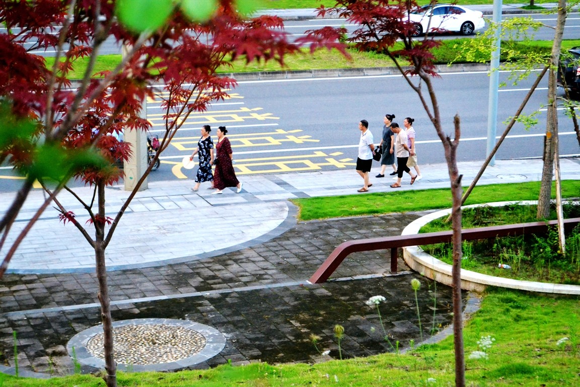 DSC_4569.JPG