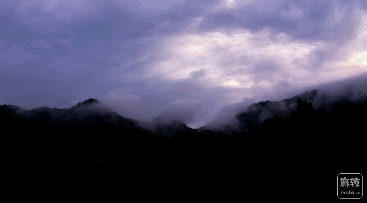 DSC_7463_.jpg
