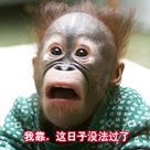 064506ey570d7h47uduoxe - ����.jpg