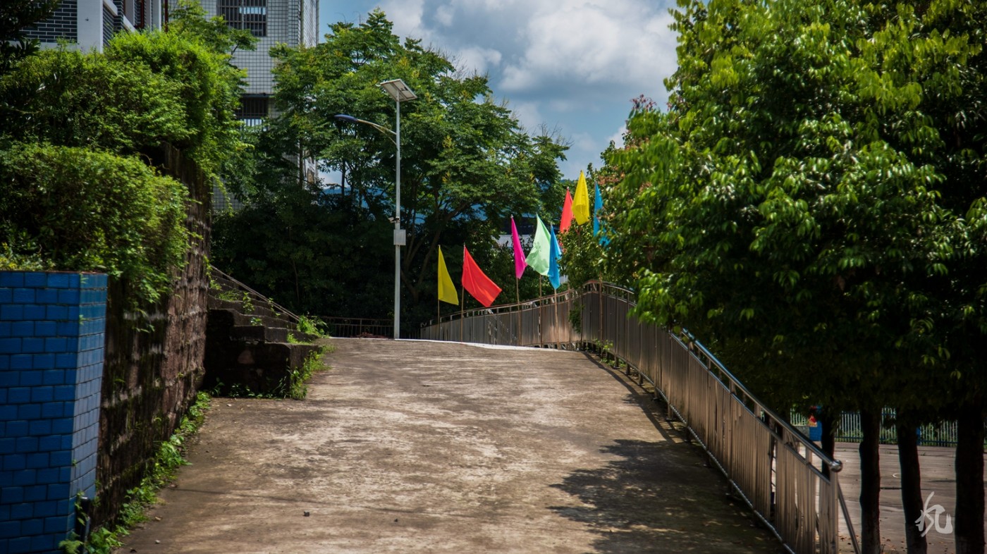DSC_7803.jpg
