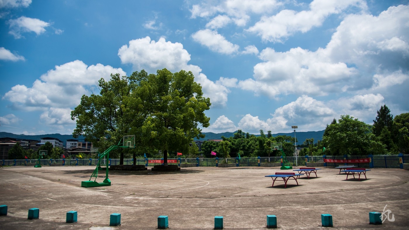 DSC_7805.jpg